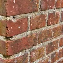 Alte Ziegelwand mit Mörtel. Weiße Ablagerungen auf den Ziegeln deuten auf hygroskopische Salze hin, die Feuchtigkeit aus der Luft ziehen.