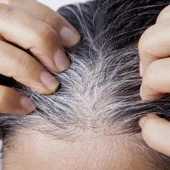 Dedos separan cabello oscuro con hebras plateadas, mostrando el inicio de las canas. ¿A qué edad salen las canas?