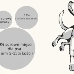 Przepis na barf dla psa: 60% mięsa, 15% warzyw, 10% podrobów, 5% owoców, 10% dodatków (oleje rybne).