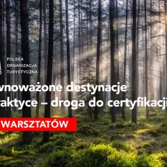 Promień słońca przebija się przez las, oświetlając ścieżkę. Temat: turystyka zrównoważona przykłady. Cykl warsztatów.