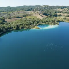 Il **lago dell'Accesa** brilla sotto il sole, circondato da colline verdi e uliveti. Un gruppo di uccelli bianchi danza sull'acqua.
