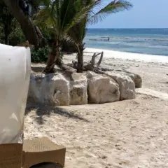 Kenia kiedy jechać: najlepszy czas na safari i relaks na plaży