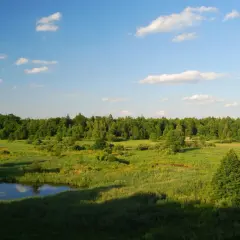 Zielone łąki i lasy, małe jeziorko i błękitne niebo z chmurami. Piękny krajobraz rezerwatu przyrody Wisła.