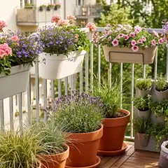Kwiaty na zachodni balkon: różowe pelargonie, fioletowa lobelia i lawenda tworzą barwną kompozycję.