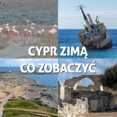 Cypr zimą: flamingi, wrak statku, wybrzeże i ruiny. Pogoda w lutym sprzyja zwiedzaniu.