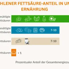 Empfohlener Fettanteil in der Ernährung: Einfach ungesättigte Fettsäuren (10-15%), mehrfach ungesättigte Fettsäuren (7-10%), gesättigte Fettsäuren (7-10%), Trans-Fettsäuren (<1%). Vitamin F ist wichtig!