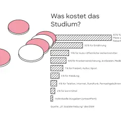 Studieren von zuhause: Grafik zeigt Kostenaufteilung eines Studiums. Größter Posten ist Miete (40%), gefolgt von Ernährung (20%).
