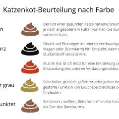 Illustrationen von Katzenkot in verschiedenen Farben (braun, schwarz, rot, gelb/grau, weiß gepunktet) mit Erklärungen zu deren Bedeutung für die Katzengesundheit.