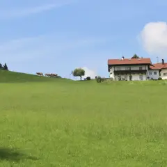 Ile kosztuje ar działki budowlanej na wsi? Ceny, które musisz znać