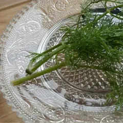 Świeży koperek na ozdobnym talerzyku. Dowiedz się, jak przechowywać koperek, by był zawsze aromatyczny i zielony.