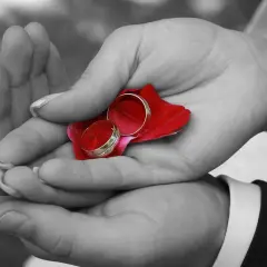Dłonie trzymają płatek róży z obrączkami. Czy nauki przedmałżeńskie są obowiązkowe?