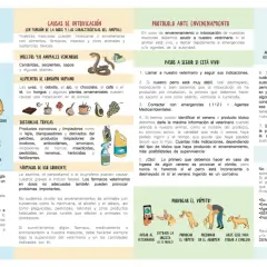 Ilustración muestra cómo actuar ante una intoxicación de perros, incluyendo síntomas, causas y qué hacer si el animal ingiere veneno.