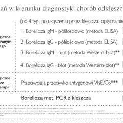 Cennik badań na boreliozę: IgM/IgG ELISA 25 zł, Western-blot 75 zł, PCR z kleszcza 140 zł.
