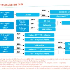 Therapiealgorithmus für metastasierten TNBC. Ein triple negativ Todesurteil kann durch verschiedene Therapien wie Sacituzumab Govitecan oder PARP-Inhibitoren behandelt werden.
