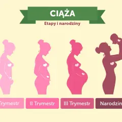 Ile trwają badania prenatalne? Czas oczekiwania na wyniki planuj bez stresu!
