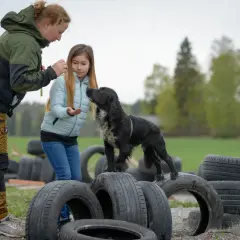 En hund som tränas utomhus, kanske för att inte vara en hund ensam hemma lag. En kvinna och en flicka ger godis.