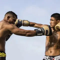 Two boxers face off, one throwing a punch while the other prepares to parry vs block.