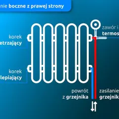 Schemat podłączenia grzejnika od dołu z prawej strony. Widoczny korek odpowietrzający, zaślepiający, zawór termostatyczny, zasilanie i powrót.