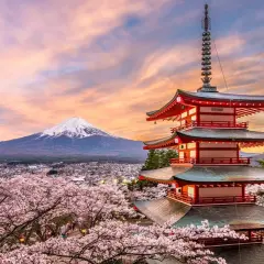 Buddyzm w Japonii: Jak Zen i Shinto ukształtowały Kraj Kwitnącej Wiśni
