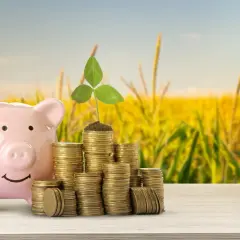 Różowa świnka skarbonka obok stosów monet i kiełkującej rośliny. Symbol oszczędności i przyszłych dopłat.
