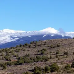 Paisaje montañoso con nieve en las cumbres y vegetación baja salpicada de árboles en los pradillos.