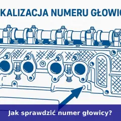 Numer silnika: Gdzie go znaleźć i dlaczego wciąż jest ważny?