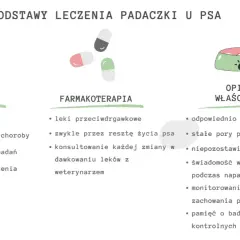Ilustracja przedstawia podstawy leczenia padaczki u psa: współpracę z weterynarzem, farmakoterapię i opiekę właściciela.