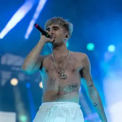 Artysta z tatuażami na klatce piersiowej, śpiewający do mikrofonu na koncercie. Jego styl przypomina okładki albumów.