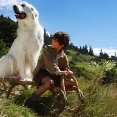 Co obejrzeć z dzieckiem: najlepsze filmy, które zbliżają rodzinę