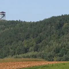 Iwkowa atrakcje – odkryj najciekawsze miejsca, które musisz zobaczyć