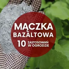 Ręka w rękawicy trzyma szarą mączkę bazaltową. Czerwone koło z napisem "Mączka bazaltowa. 10 zastosowań w ogrodzie" na tle zielonych liści.