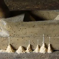 Pialla in legno infestata da tarli, con piccoli cumuli di segatura che indicano la loro presenza.