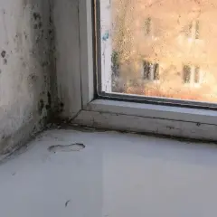 Schimmelbefall an der Wand und am Fensterrahmen. Die Scheibe ist beschlagen. Zeit für schimmel entfernen.