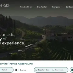 Jak dojechać z lotniska Treviso do Wenecji? Strona Barzi Bus Service oferuje bilety na linię lotniskową Treviso.