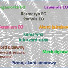 Zapach lawendy, bergamotki, jaśminu i innych nut zapachowych na tle paproci.