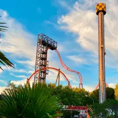 Torre de caída libre y montaña rusa anaranjada en un parque de atracciones con palmeras.