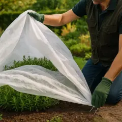 Un jardinier installe une housse de protection pour plantes d'hiver sur un arbuste vert.