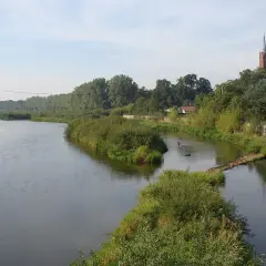Szeroka rzeka, najdłuższy lewy dopływ Wisły, płynie wśród zielonych brzegów. W oddali widać kościół.