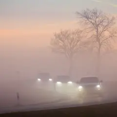 Samochody jadące we mgle, z zapalonymi światłami. Pamiętaj, czy kierując pojazdem we mgle masz obowiązek zachować szczególną ostrożność.
