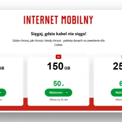 Oferty mobilnego internetu 5G: 100 GB za 40 zł, 150 GB za 50 zł, 250 GB za 60 zł. Czy 10 GB internetu to dużo? Te pakiety to dużo danych!