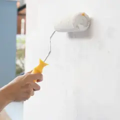 Mano pinta pared interior con rodillo. ¿Qué pasa si pinto con pintura de exterior en interior?