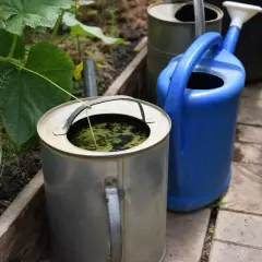 Metalowy kanister z zieloną wodą, przypominającą gnojówkę z trawy, obok niebieskiej konewki.