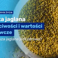 Czy kasza jaglana jest dietetyczna? Odkryj jej zdrowotne korzyści