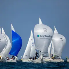 Regata con spinnaker gonfiati, tra cui uno blu acceso e uno bianco con logo Nybolig. Le barche competono in una giornata di sole.