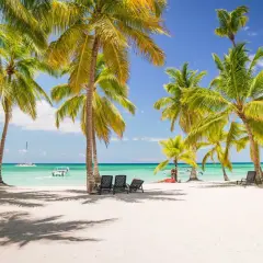 Rajska plaża z palmami, leżakami i turkusową wodą na Dominikanie.
