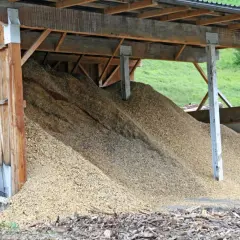 Ogromna góra trocin pod wiatą. Zastanawiasz się, ile peletu z tony trocin można uzyskać? To surowiec do produkcji biomasy.