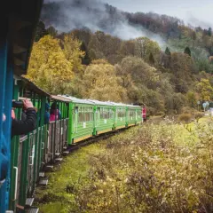 Zielony pociąg turystyczny wjeżdża w jesienne Bieszczady. Mgła spowija wzgórza, a liście mienią się złotem.