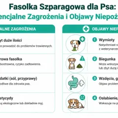 Czy pies może jeść fasolkę szparagową? Infografika ostrzega przed zagrożeniami: zbyt duża ilość, surowa fasolka, dodatki, pestycydy. Objawy: wymioty, biegunka, wzdęcia, osłabienie.