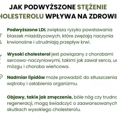 Jak poprawić cholesterol? Skuteczny plan dla zdrowego serca