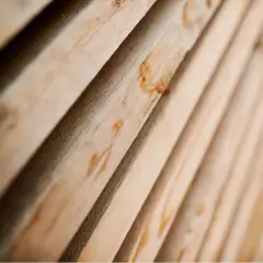 Lignes de bois avivé, aux teintes claires et naturelles, prêtes à être transformées.